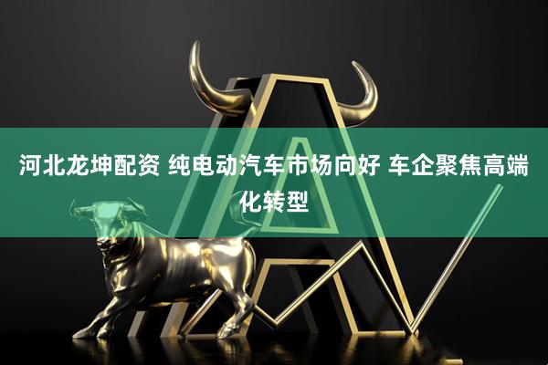 河北龙坤配资 纯电动汽车市场向好 车企聚焦高端化转型
