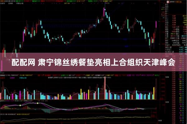 配配网 肃宁锦丝绣餐垫亮相上合组织天津峰会