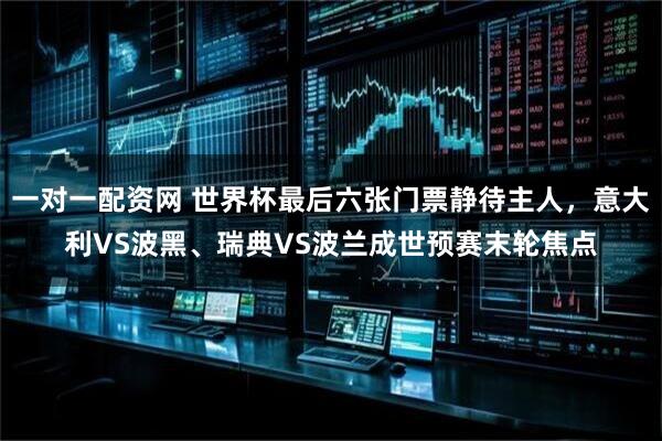一对一配资网 世界杯最后六张门票静待主人，意大利VS波黑、瑞典VS波兰成世预赛末轮焦点